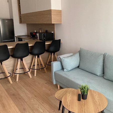 Rakowicka Modern Apartment คราคูฟ ภายนอก รูปภาพ